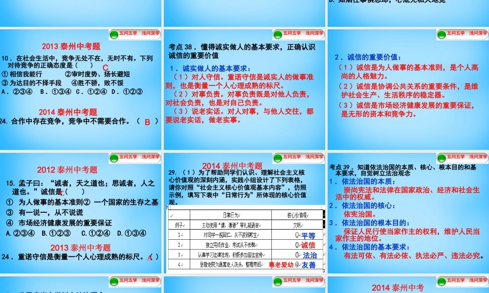 九年级 考点37 40复习课件