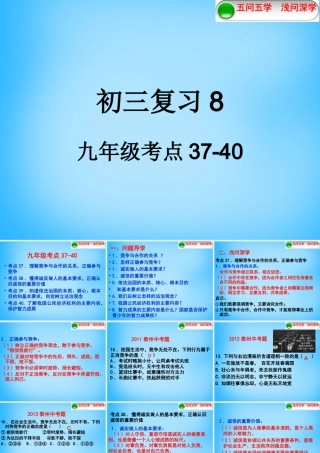 九年级 考点37 40复习课件