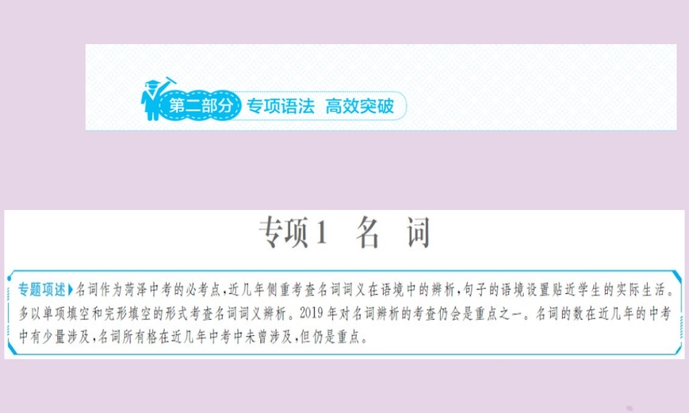 中考英语总复习 第二部分 专项语法 高效突破 专题1 名词课件