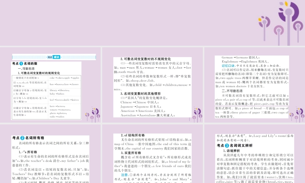 中考英语总复习 第二部分 专项语法 高效突破 专题1 名词课件