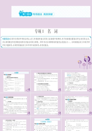 中考英语总复习 第二部分 专项语法 高效突破 专题1 名词课件