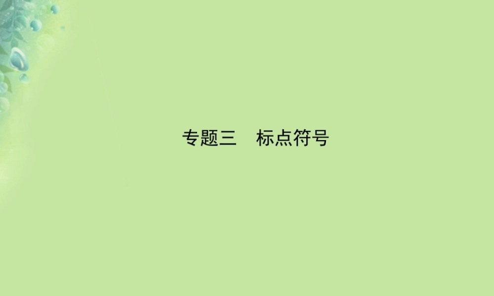 中考语文 专题三 标点符号课件