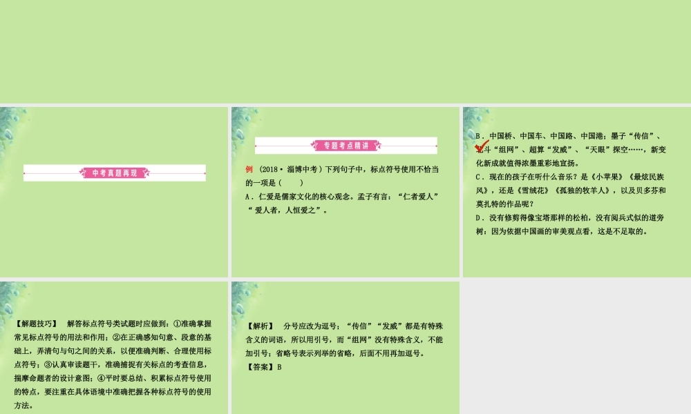 中考语文 专题三 标点符号课件