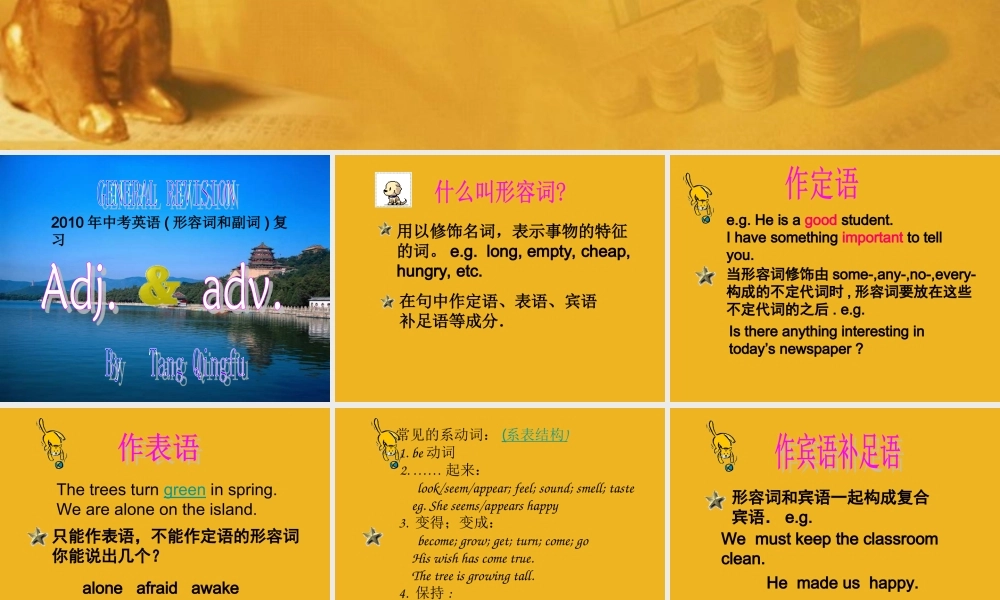 中考英语语法考点石专题复习25 课件