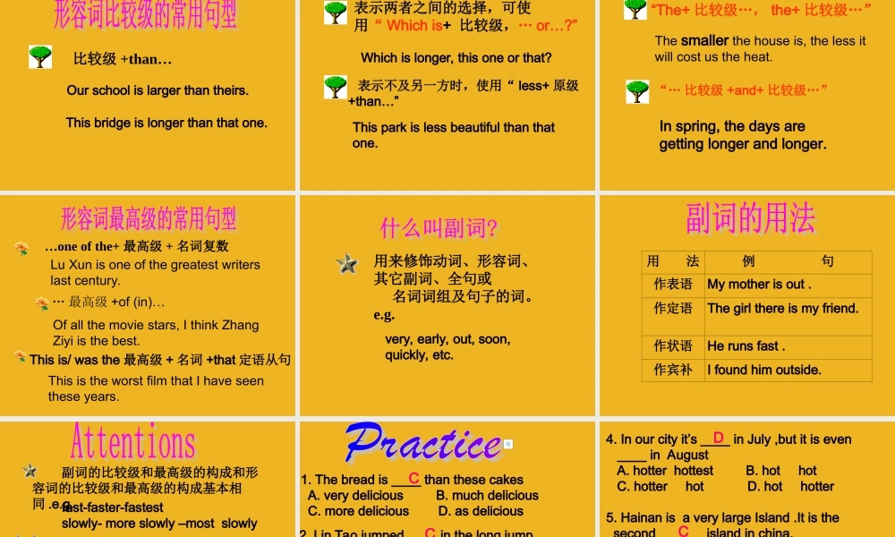 中考英语语法考点石专题复习25 课件