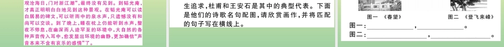 (河南专版)九年级语文上册 第三单元 12 湖心亭看雪作业课件 新人教版 课件