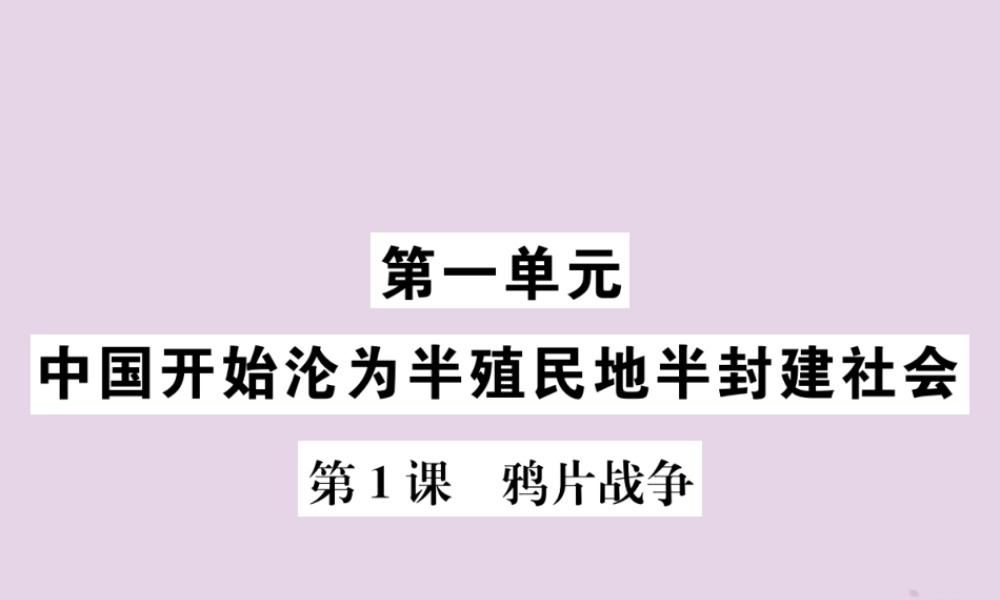 (河南专版)八年级历史上册 第一单元 中国开始沦为半殖民地半封建社会 第1课 鸦片战争课件 新人教版 课件