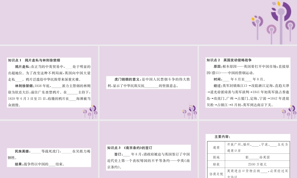 (河南专版)八年级历史上册 第一单元 中国开始沦为半殖民地半封建社会 第1课 鸦片战争课件 新人教版 课件
