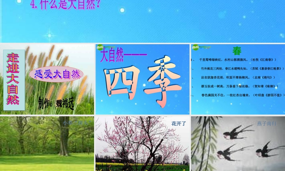 中考语文复习课件 综合性学习 感受自然 人教新课标版 课件