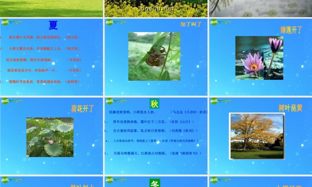 中考语文复习课件 综合性学习 感受自然 人教新课标版 课件