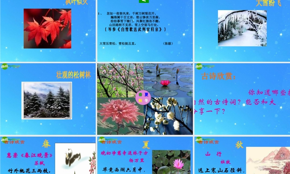 中考语文复习课件 综合性学习 感受自然 人教新课标版 课件