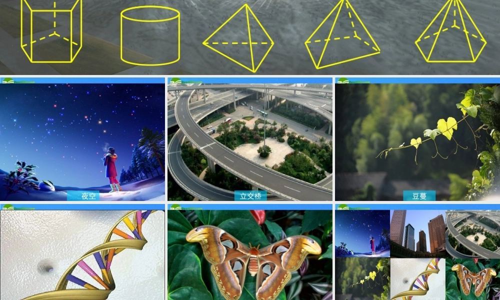 七年级数学上册 1.1我们身边的图形世界(1)课件 青岛版 课件