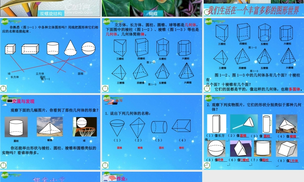 七年级数学上册 1.1我们身边的图形世界(1)课件 青岛版 课件