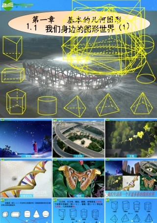 七年级数学上册 1.1我们身边的图形世界(1)课件 青岛版 课件
