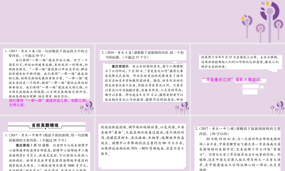 中考语文复习 第一部分 语文知识及运用 专题九 新闻概括课件