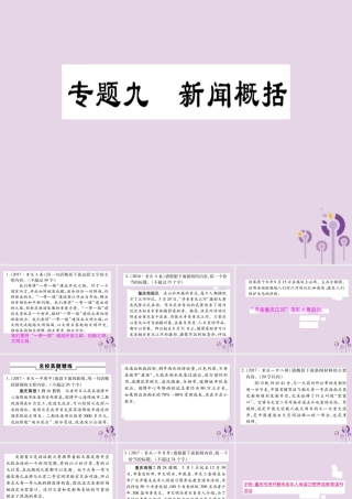 中考语文复习 第一部分 语文知识及运用 专题九 新闻概括课件