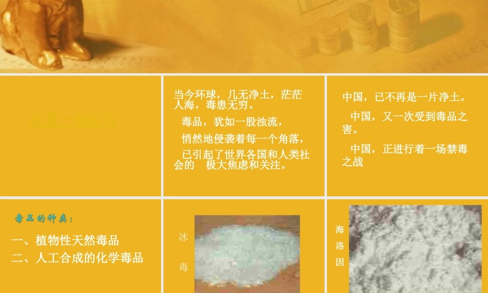 九年级化学下册 单元3远离毒品课件 湘教版 课件