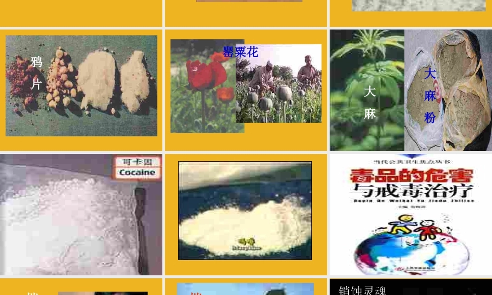 九年级化学下册 单元3远离毒品课件 湘教版 课件