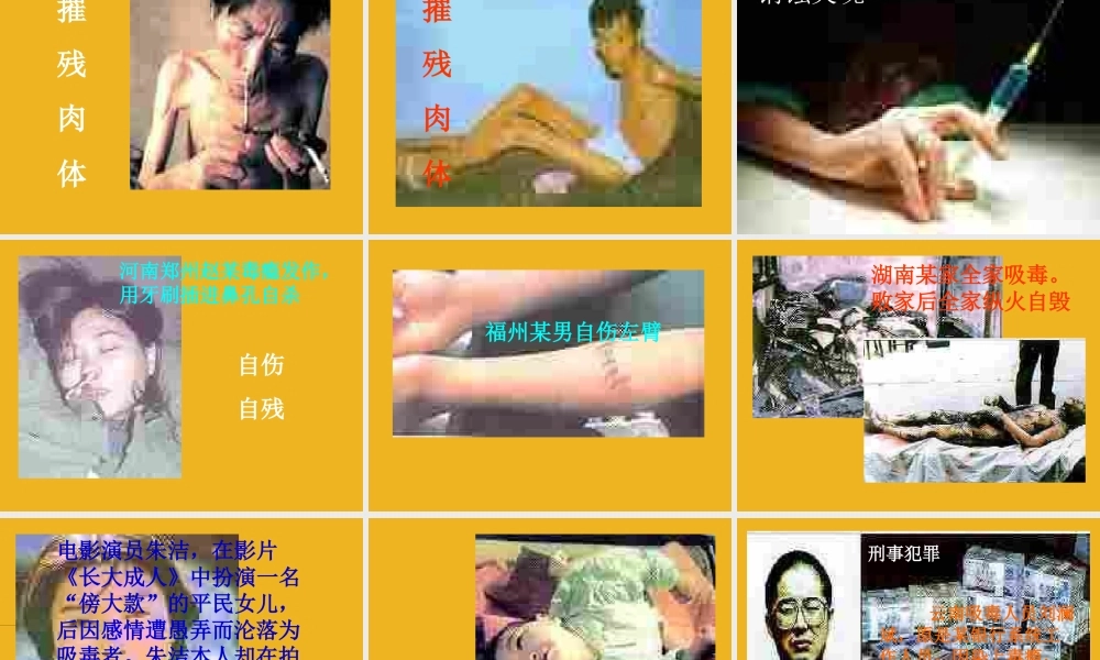 九年级化学下册 单元3远离毒品课件 湘教版 课件