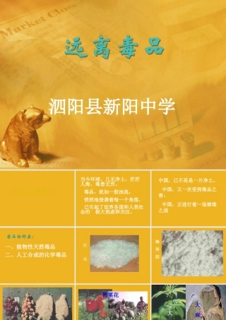 九年级化学下册 单元3远离毒品课件 湘教版 课件