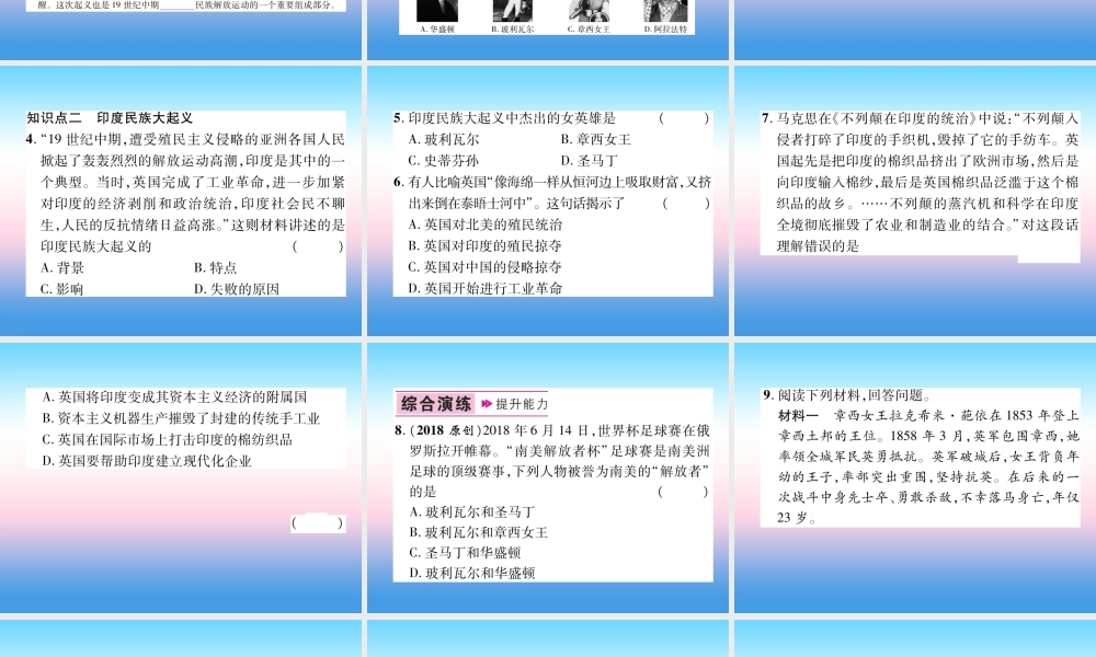 九年级历史下册 第1单元 殖民地人民的反抗与资本主义制度的拓展 第1课 殖民地人民的反抗斗争易错点拨课件 新人教版 课件