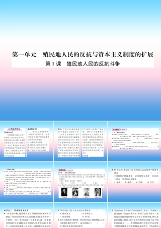 九年级历史下册 第1单元 殖民地人民的反抗与资本主义制度的拓展 第1课 殖民地人民的反抗斗争易错点拨课件 新人教版 课件