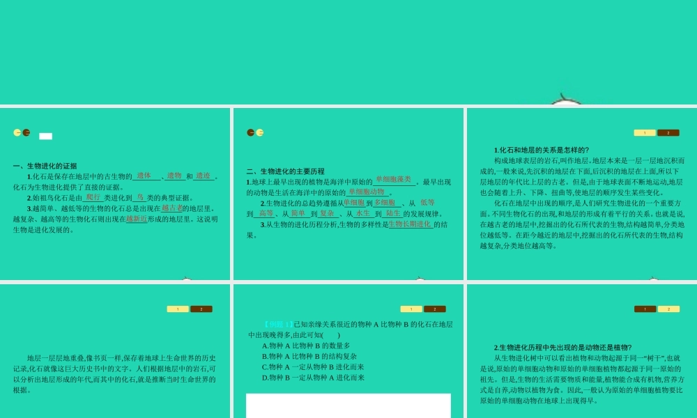 八年级生物上册 16.2 生物进化的历程课件 (新版)苏教版 课件