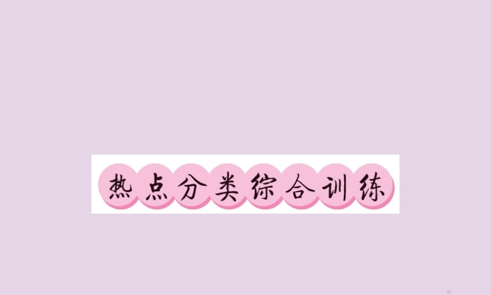 (贵州专版)中考语文复习 第二轮 第四部分 综合实践与探究 热点分类综合训练课件
