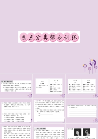(贵州专版)中考语文复习 第二轮 第四部分 综合实践与探究 热点分类综合训练课件