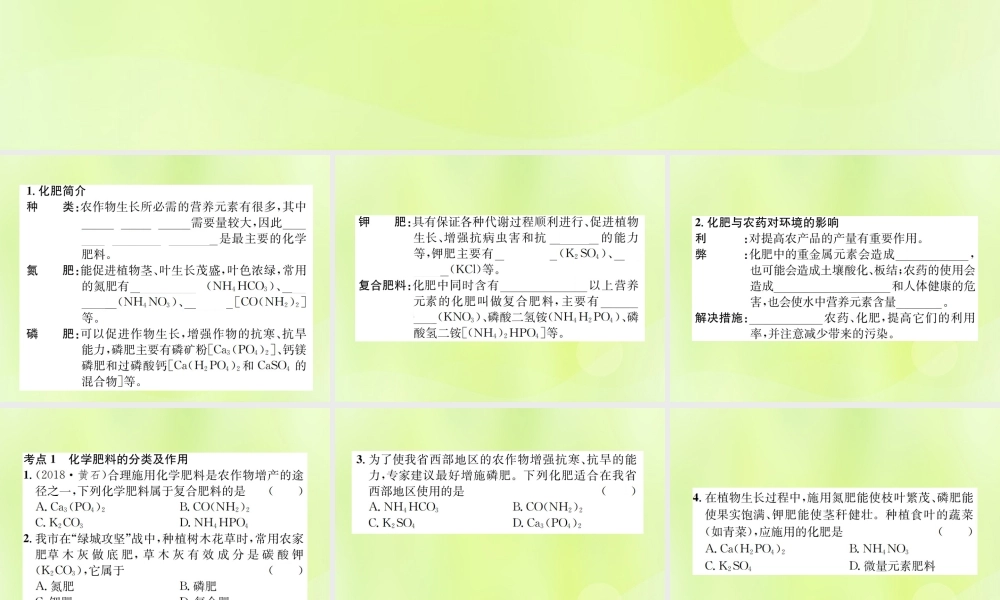 九年级化学下册 第十一单元 盐 化肥 课题2 第1课时 化学肥料复习课件 (新版)新人教版 课件