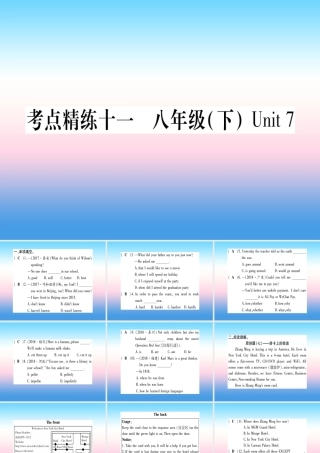 中考英语准点备考 第一部分 教材系统复习 考点精练十一 八下 Unit 7课件