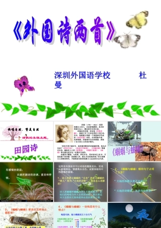 (外国诗两首)课件2 九年级语文上册第一单元(外国诗两首)课件6套人教版