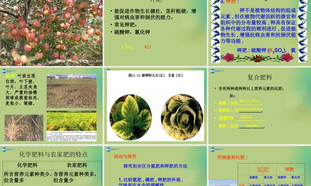 九年级化学下册 第十一单元 课题2 化学肥料课件1 (新版)新人教版 课件