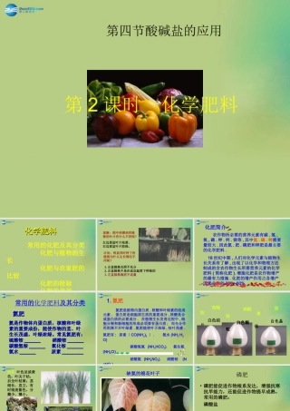 九年级化学下册 第十一单元 课题2 化学肥料课件1 (新版)新人教版 课件