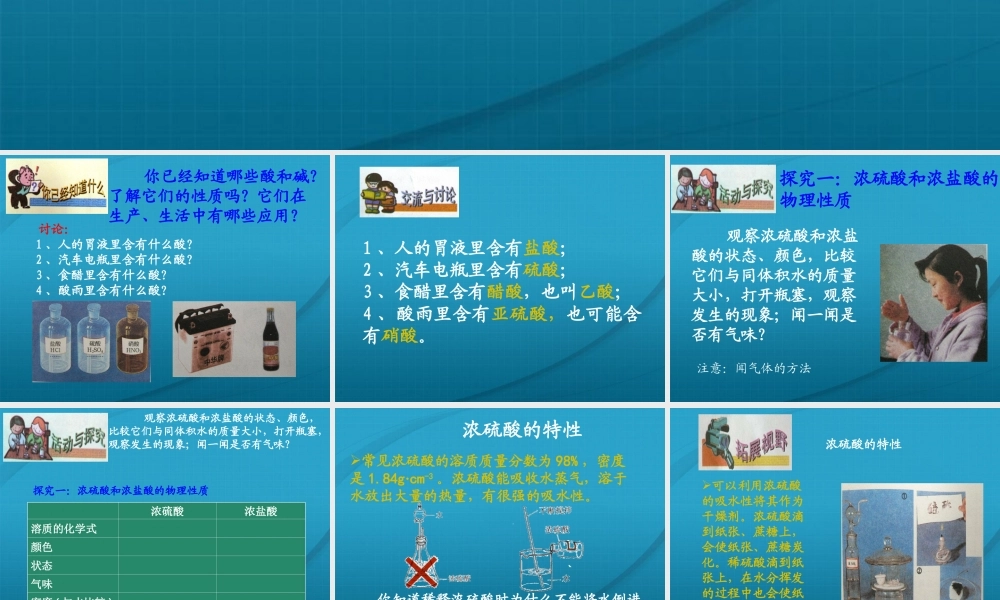 九年级化学 72常见的酸和碱课件11沪教版 课件