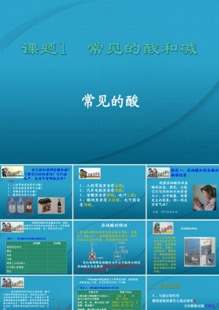 九年级化学 72常见的酸和碱课件11沪教版 课件
