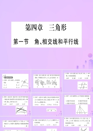 (云南专用)中考数学 第一轮 考点系统复习 第4章 三角形 第1节 角、相交线和平行线作业课件