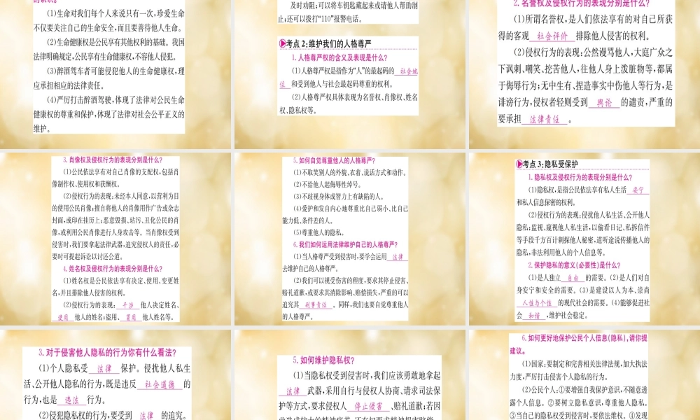 (湖北专版)中考政治 八下 第一篇 教材梳理 固本夯础复习课件