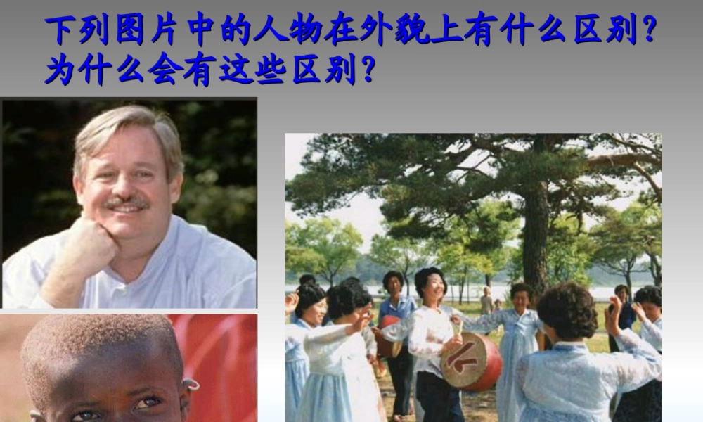 七年级历史与社会上册 第三课 世界大家庭课件课件 人教新课标版 课件