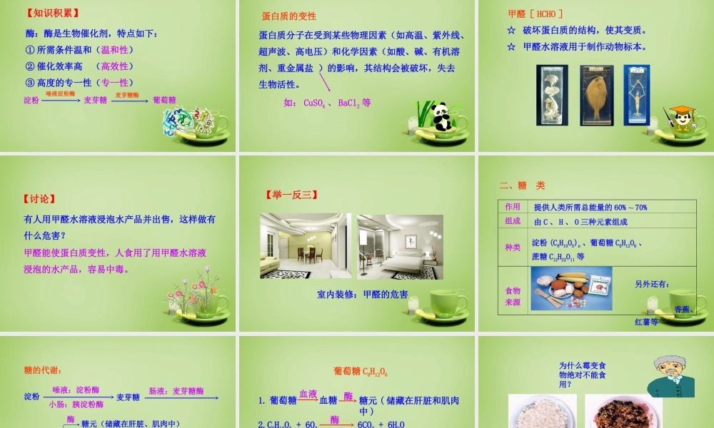 九年级化学下册 第12单元 课题1 人类重要的营养物质课件 (新版)新人教版 课件