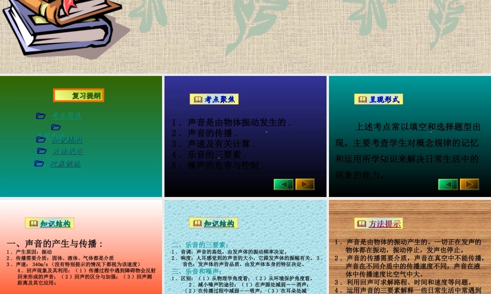 中考物理复习 声现象课件 人教新课标版 课件