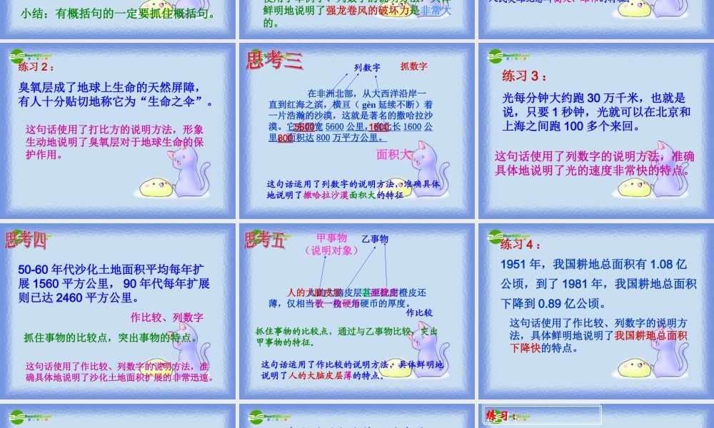 中考语文复习 说明方法的作用课件