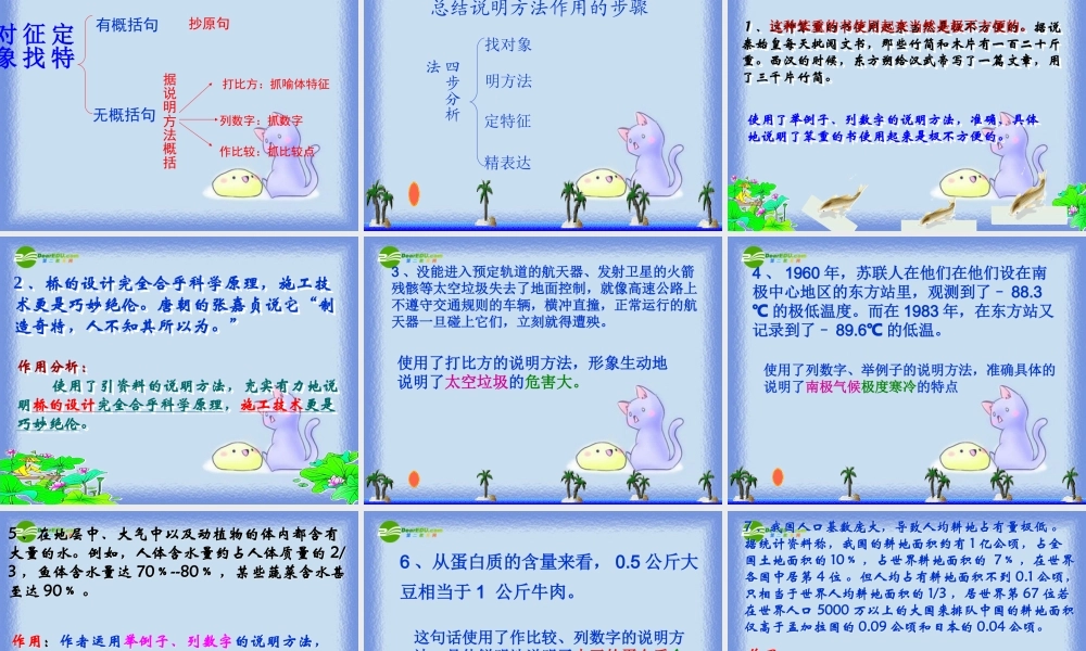 中考语文复习 说明方法的作用课件