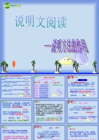 中考语文复习 说明方法的作用课件