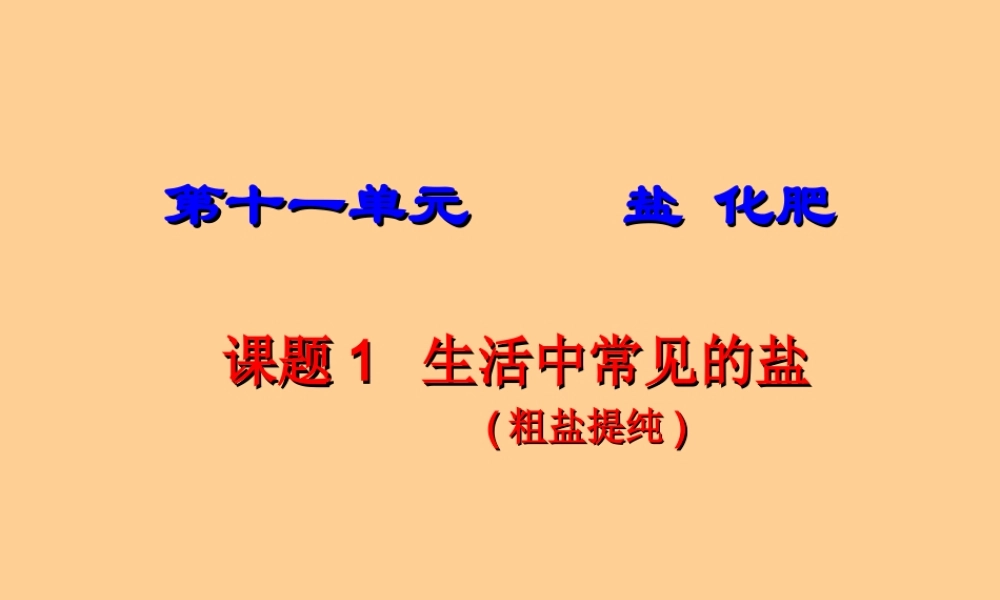 九年级化学下册 生活中常见的盐(1)课件 人教新课标版 课件