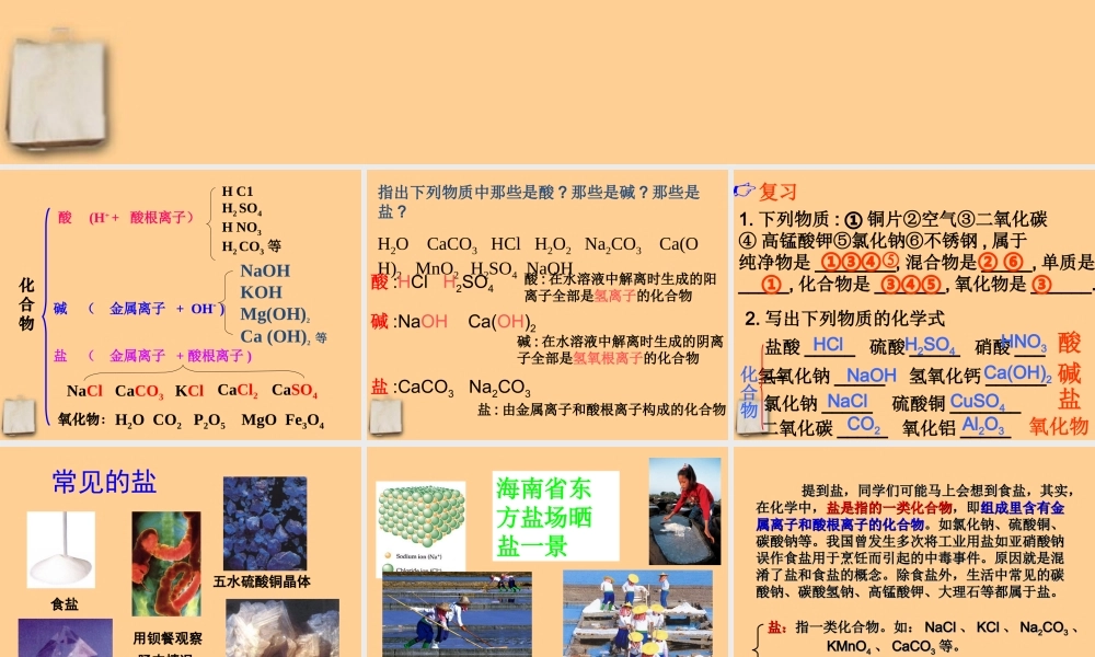 九年级化学下册 生活中常见的盐(1)课件 人教新课标版 课件