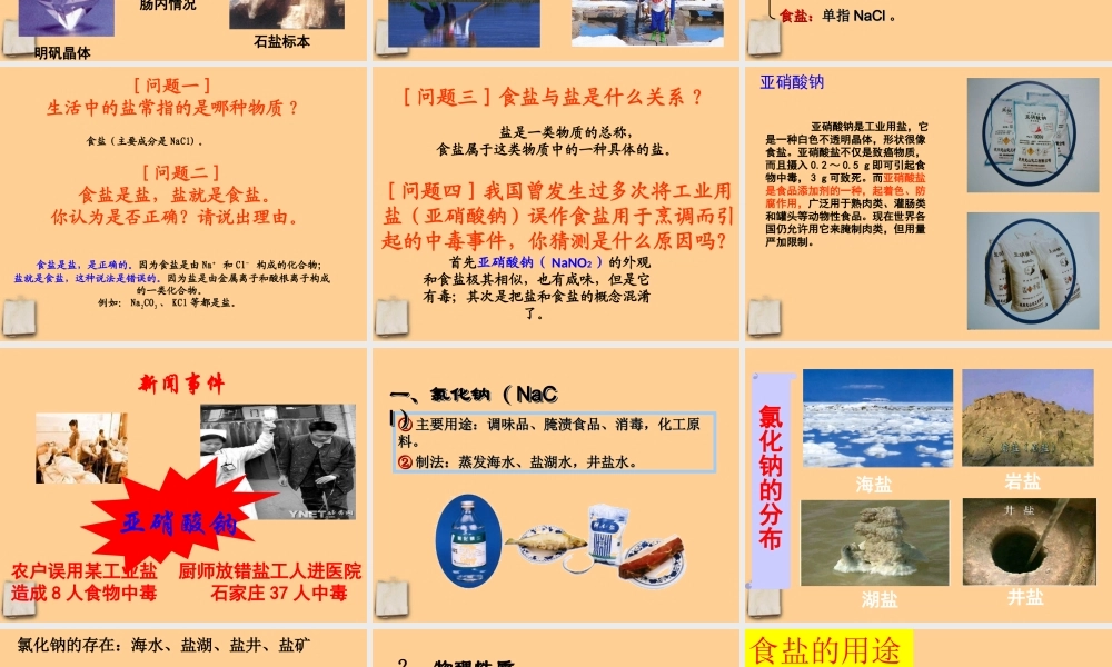 九年级化学下册 生活中常见的盐(1)课件 人教新课标版 课件