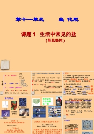 九年级化学下册 生活中常见的盐(1)课件 人教新课标版 课件