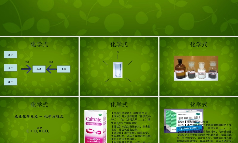 九年级化学上册 44 化学式与化合价课件3 新人教版 课件