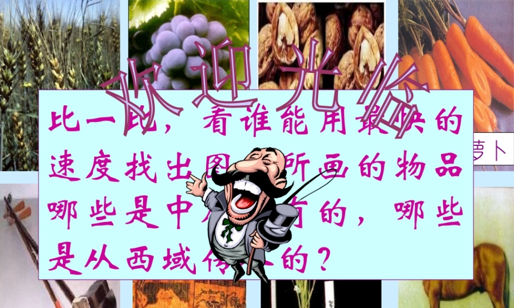 七年级历史秦汉文化课件 新课标 人教版 课件